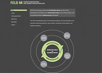 FELD M - Marketingstrategie- und Controlling